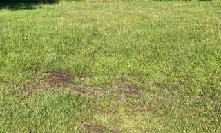 Terrain 590 m² à construire Parentis-en-Born (40160)