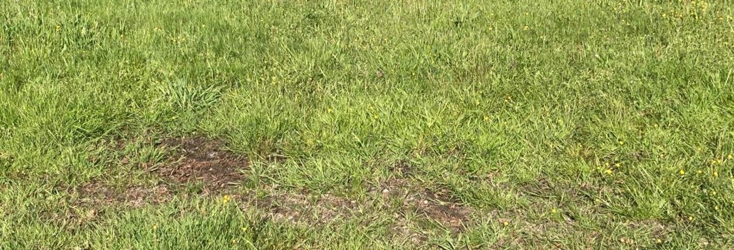 Terrain 590 m² à construire Parentis-en-Born (40160)