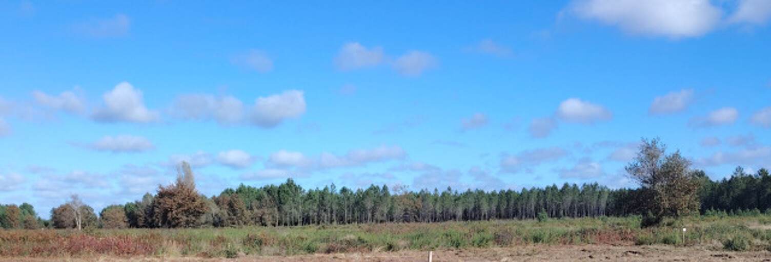 Terrain 580 m² à construire Gujan-Mestras (33470)