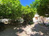 Rare sur le marché, maison de ville avec du cachet, jardin, garage et dépendances  ! — photo 2