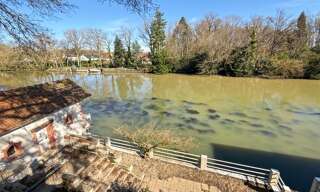 Maison 8 Pièces 369 m² à vendre à Olivet (45160)