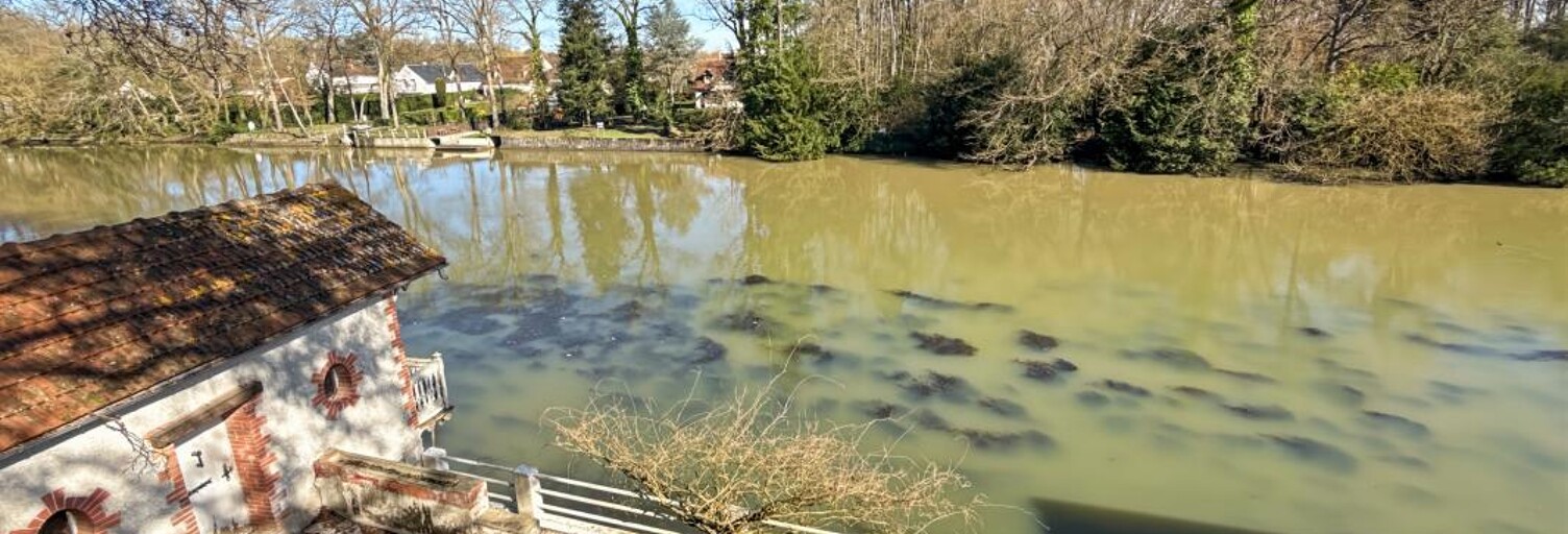 Maison 8 Pièces 369 m² à vendre à Olivet (45160)