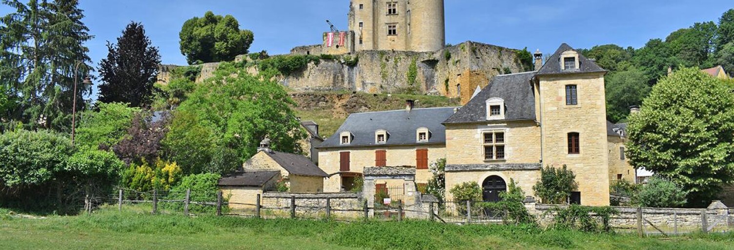 Maison 7 Pièces 275 m² à vendre à Salignac-Eyvigues (24590)