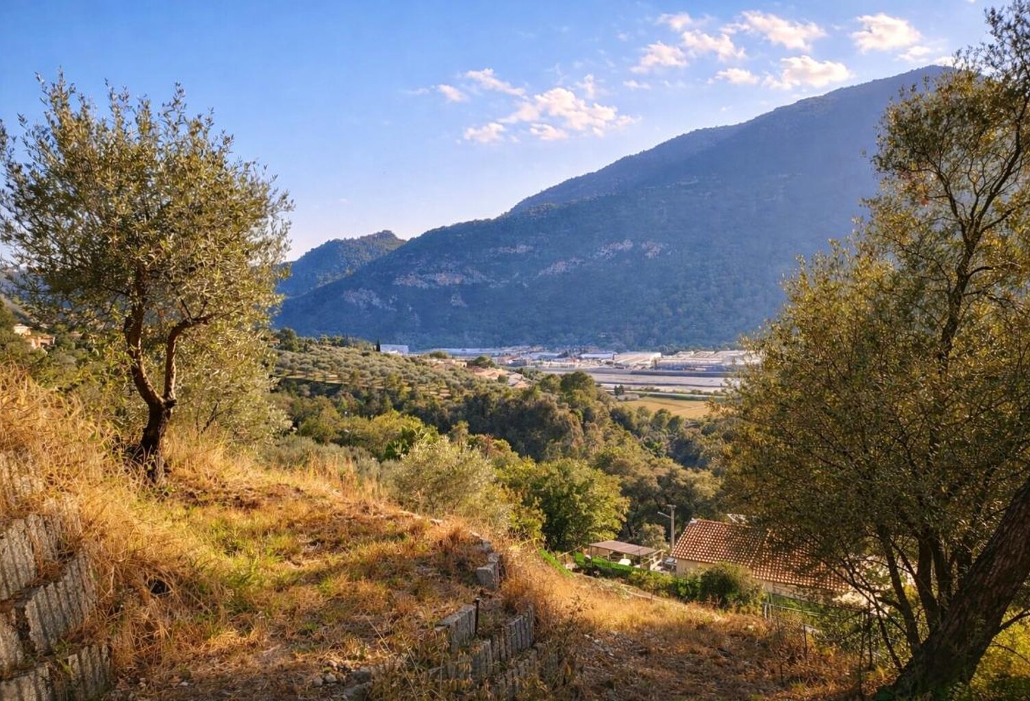 Terrain constructible Saint Martin Du Var 1129 m2, vue dégagée — photo 1