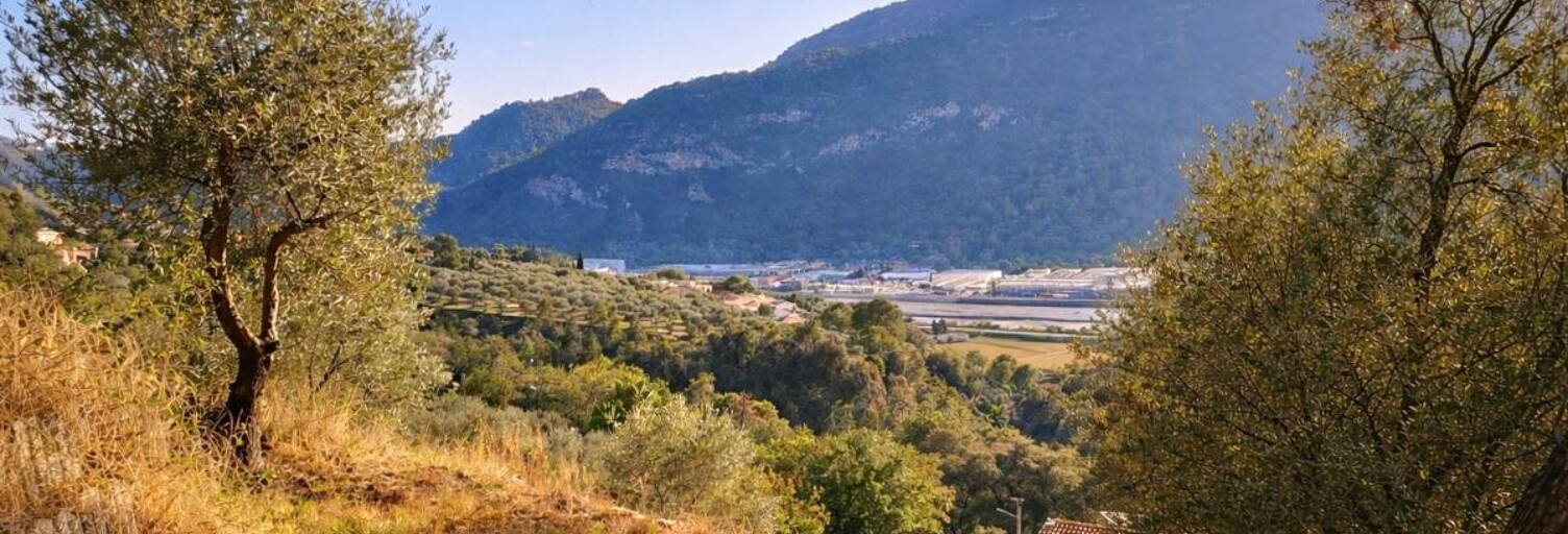 Terrain  1129 m² à vendre à Saint-Martin-du-Var (06670)