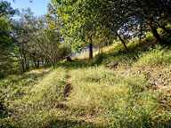 Terrain constructible Saint Martin Du Var 1129 m2, vue dégagée — photo 2