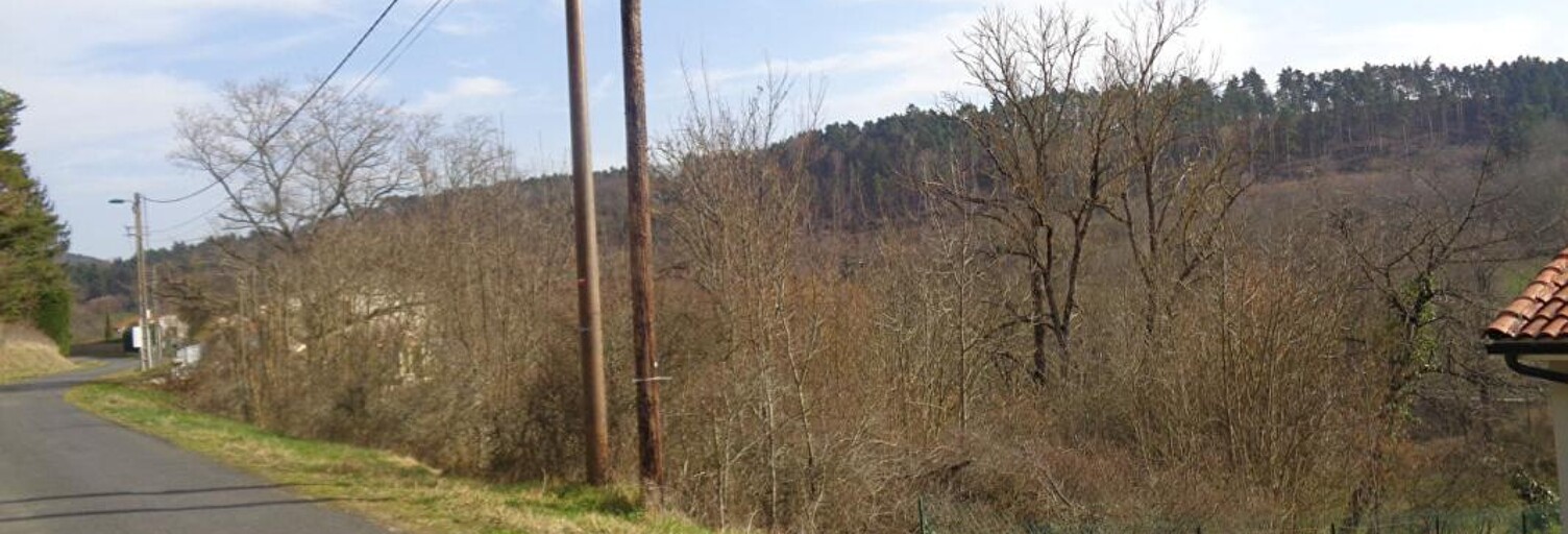 Terrain  931 m² à vendre à Sanssac-l'Église (43320)