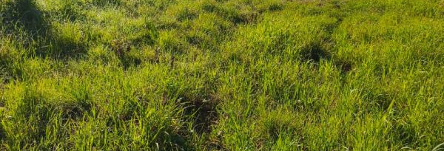 Terrain  442 m² à vendre à Le Cannet-des-Maures (83340)