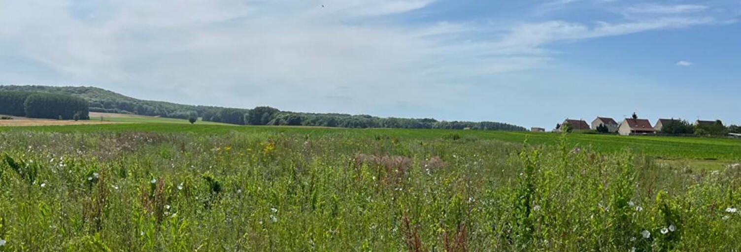 Terrain  3744 m² à vendre à Noyon (60400)