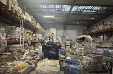 Local industriel  1175000 €