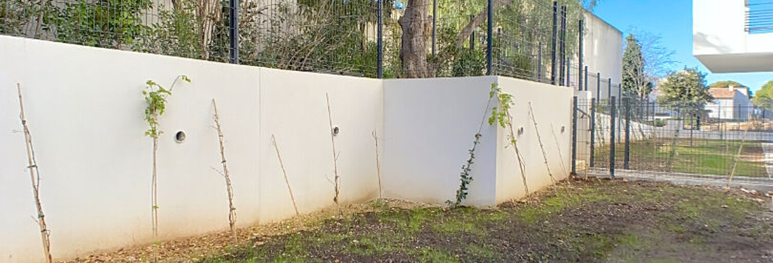 Appartement 3 Pièces 52 m² à louer à Marseille 9 (13009)