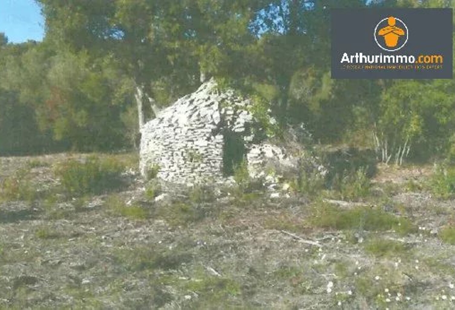 TERRAIN BONIFACIO 23 600 m² - EXCLUSIVITE — photo 1