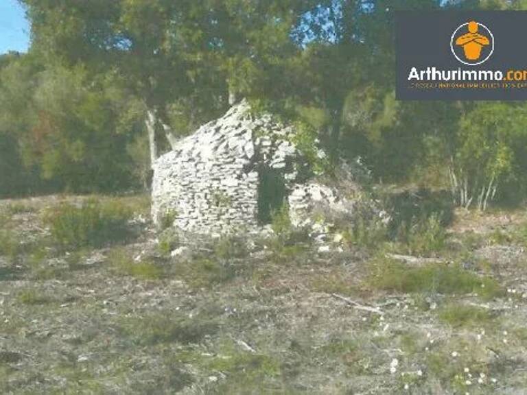 TERRAIN BONIFACIO 23 600 m² - EXCLUSIVITE — photo 1