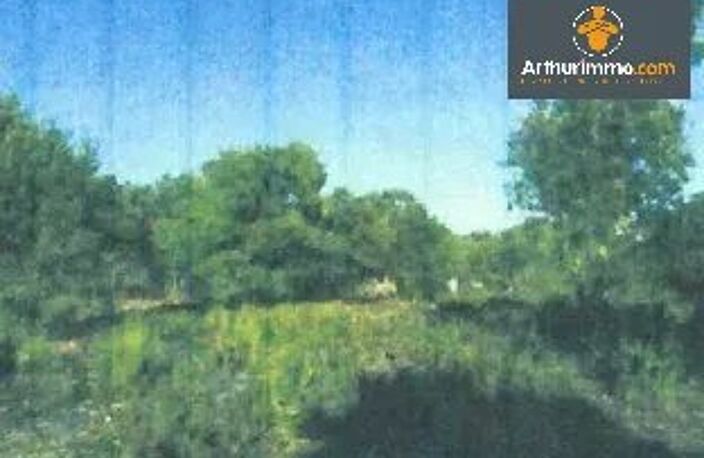 TERRAIN BONIFACIO 23 600 m² - EXCLUSIVITE — photo 4
