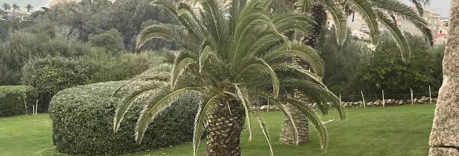 Immeuble  700 m² à vendre à Ajaccio (20000)