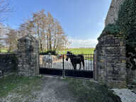 DOMAINE EQUESTRE - GITES SUR 1,9 HECTARES — photo 3
