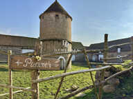 DOMAINE EQUESTRE - GITES SUR 1,9 HECTARES — photo 4