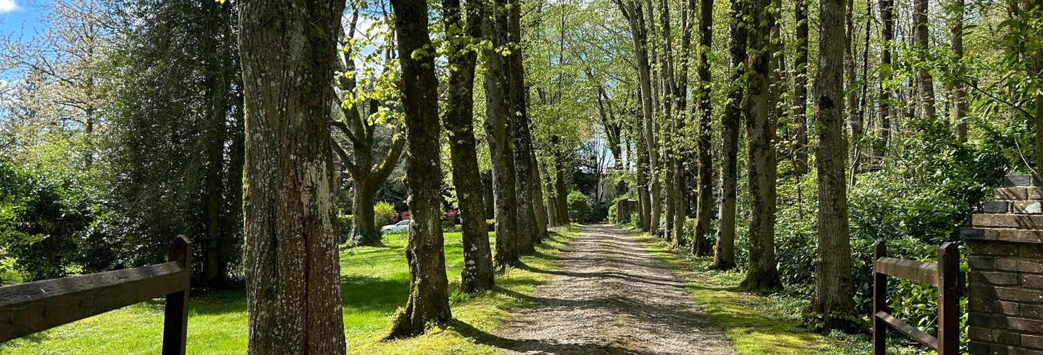 Maison 7 Pièces 202 m² à vendre à Tourouvre au Perche (61190)