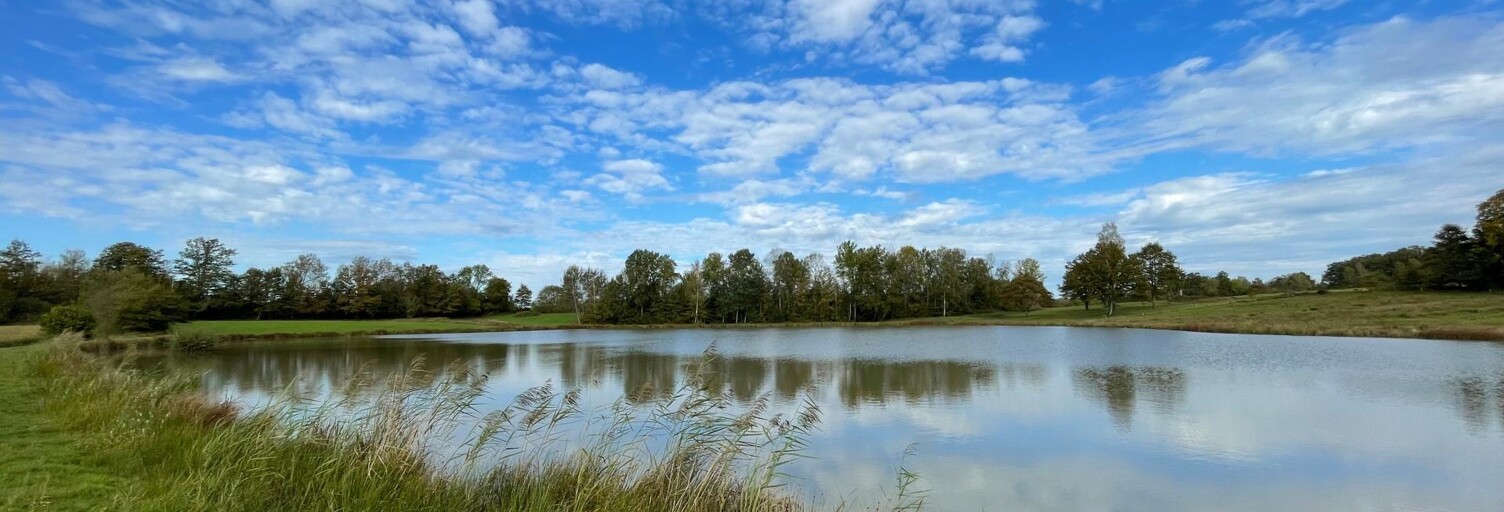 Terrain  30600 m² à vendre à Magnivray (70300)