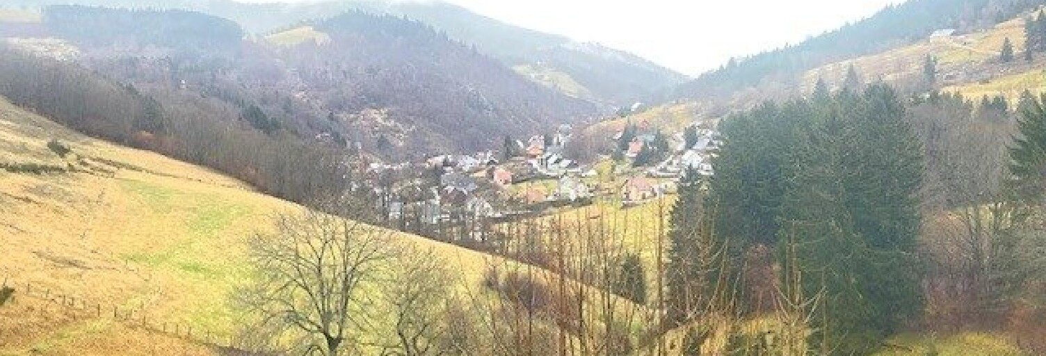 Appartement 4 Pièces 100 m² à vendre à Le Bonhomme (68650)