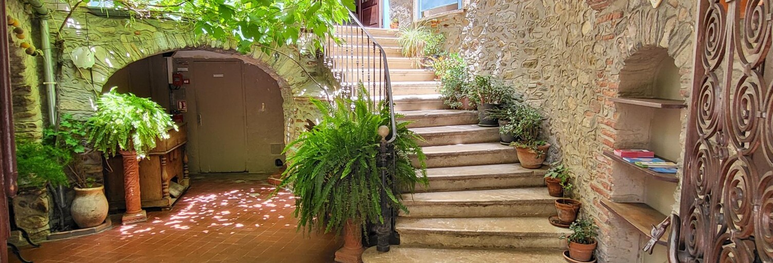 Commerce 19 Pièces 900 m² à vendre à Céret (66400)