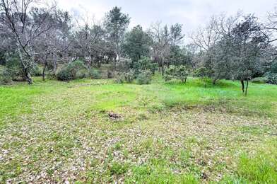 Terrain  165000 €