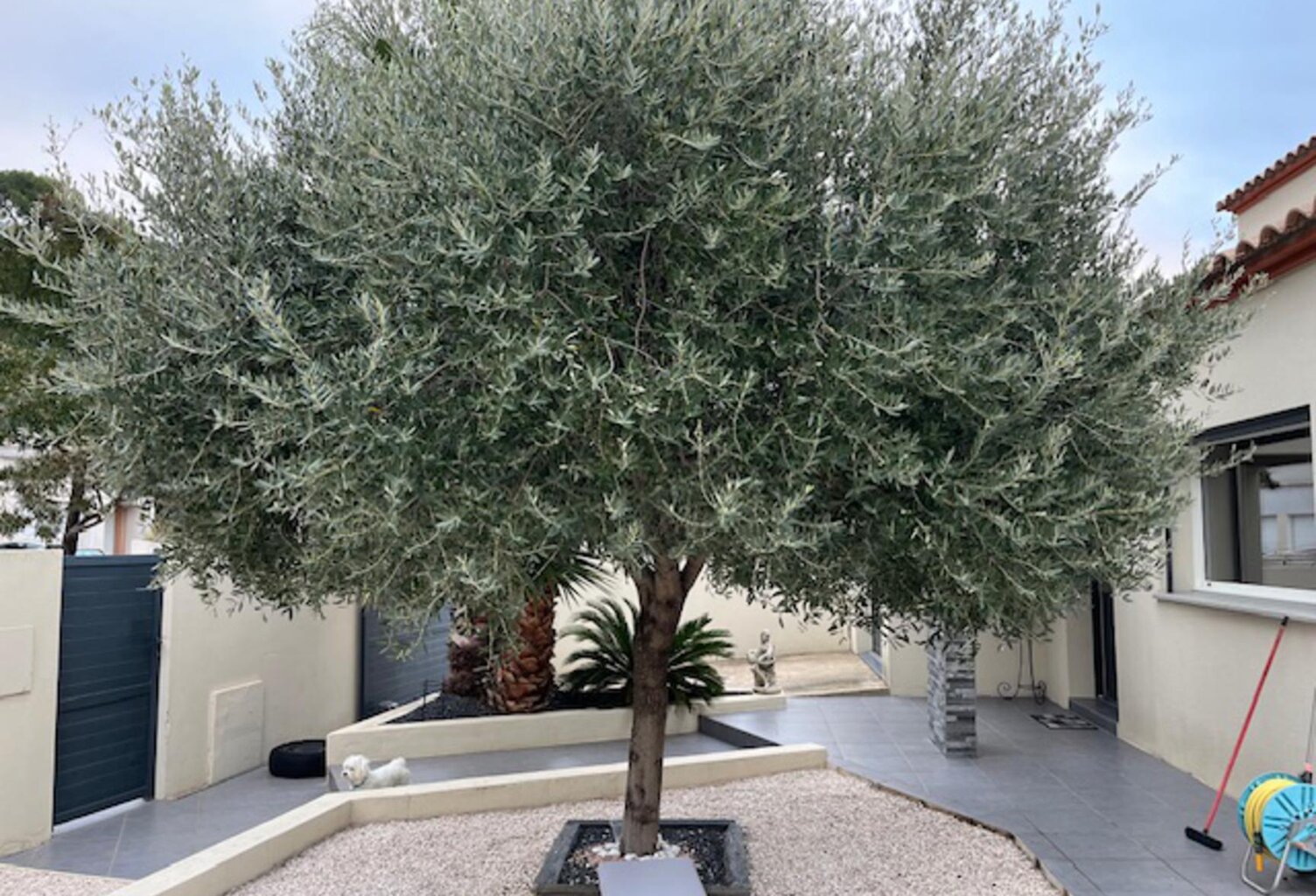 Vente maison 6 pièces 143 m² Perpignan (66000) — photo 1