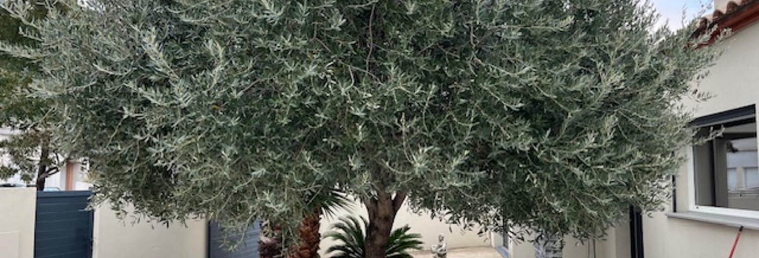 Maison 6 Pièces 143 m² à vendre à Perpignan (66000)