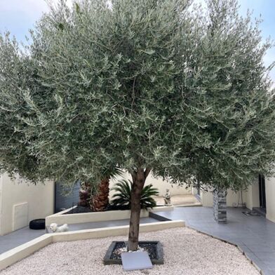 Maison 6 pièces 540000 €