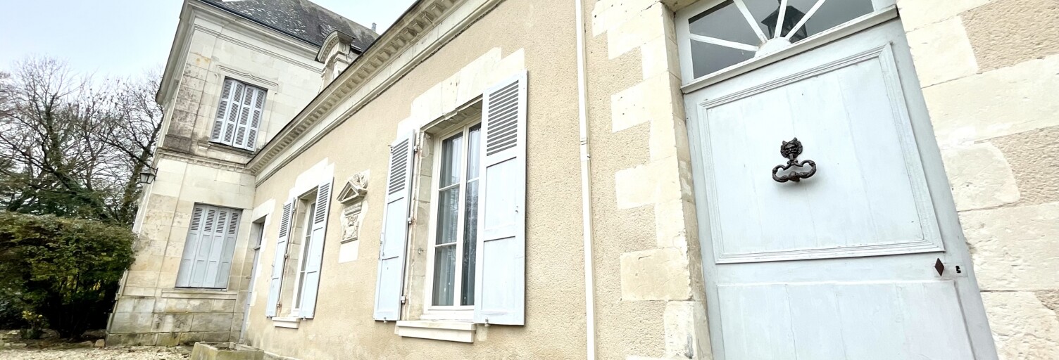 Maison 11 Pièces 245 m² à vendre à Mézières-en-Brenne (36290)