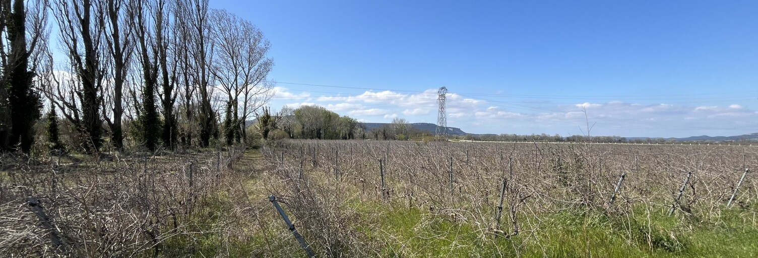 Terrain  1790 m² à vendre à Codolet (30200)