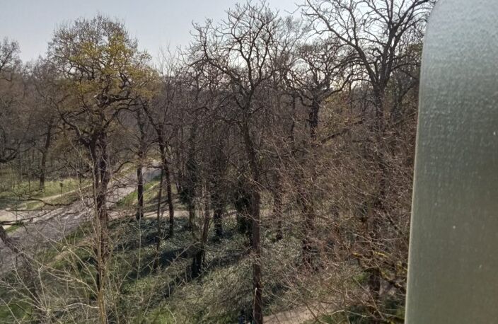 Appartement — photo 4