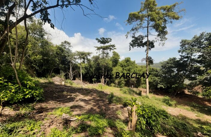 Terrain — photo 4