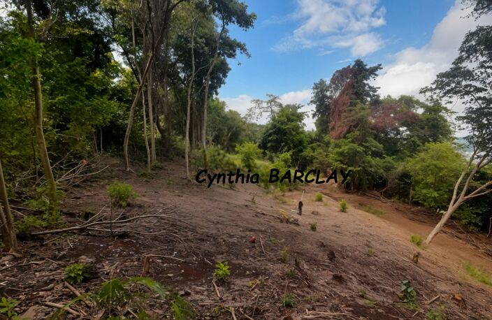 Terrain — photo 5