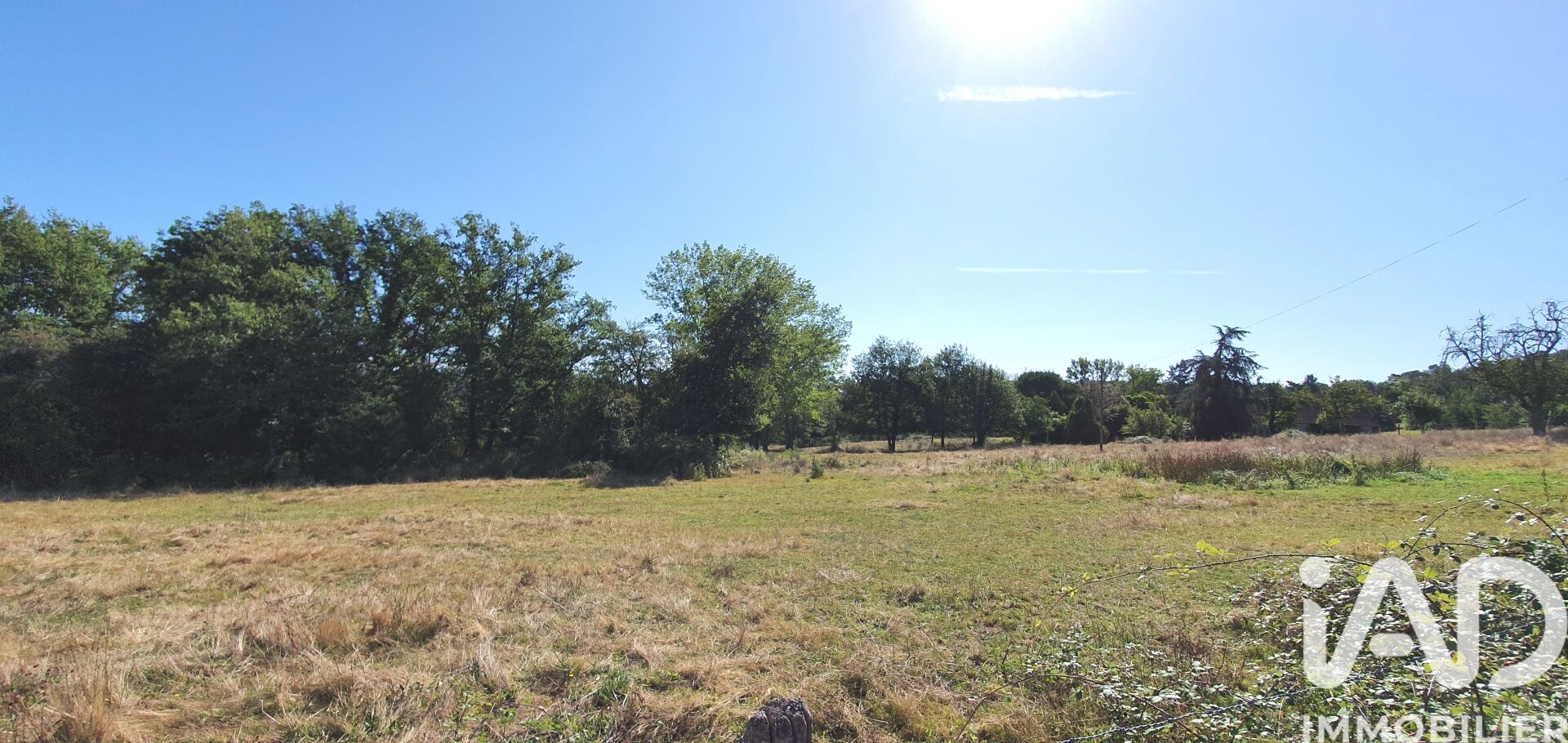 Brive-La-Gaillarde - 1619m²