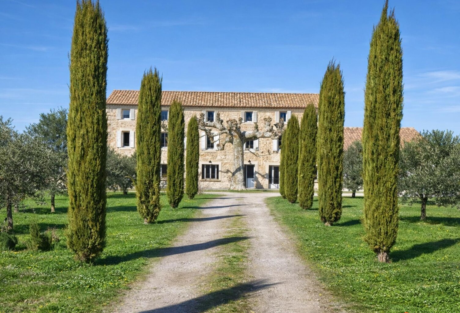 Domaine d'exception avec vue sur le Mont Ventoux — photo 1