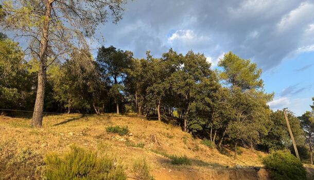 Terrain  à vendre Taradeau 83460