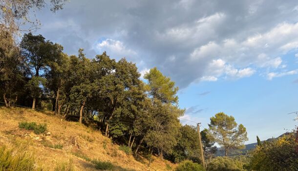 Terrain  à vendre Taradeau 83460