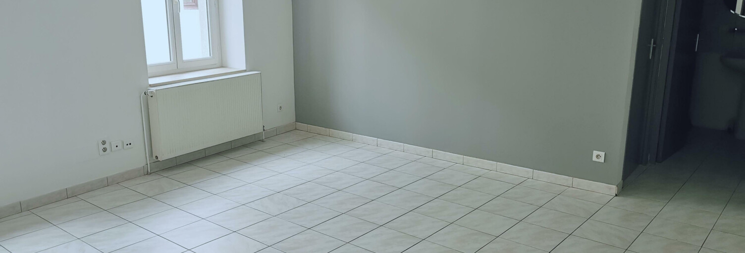 Appartement 2 Pièces 40 m² à louer à Saint-Just-Saint-Rambert (42170)