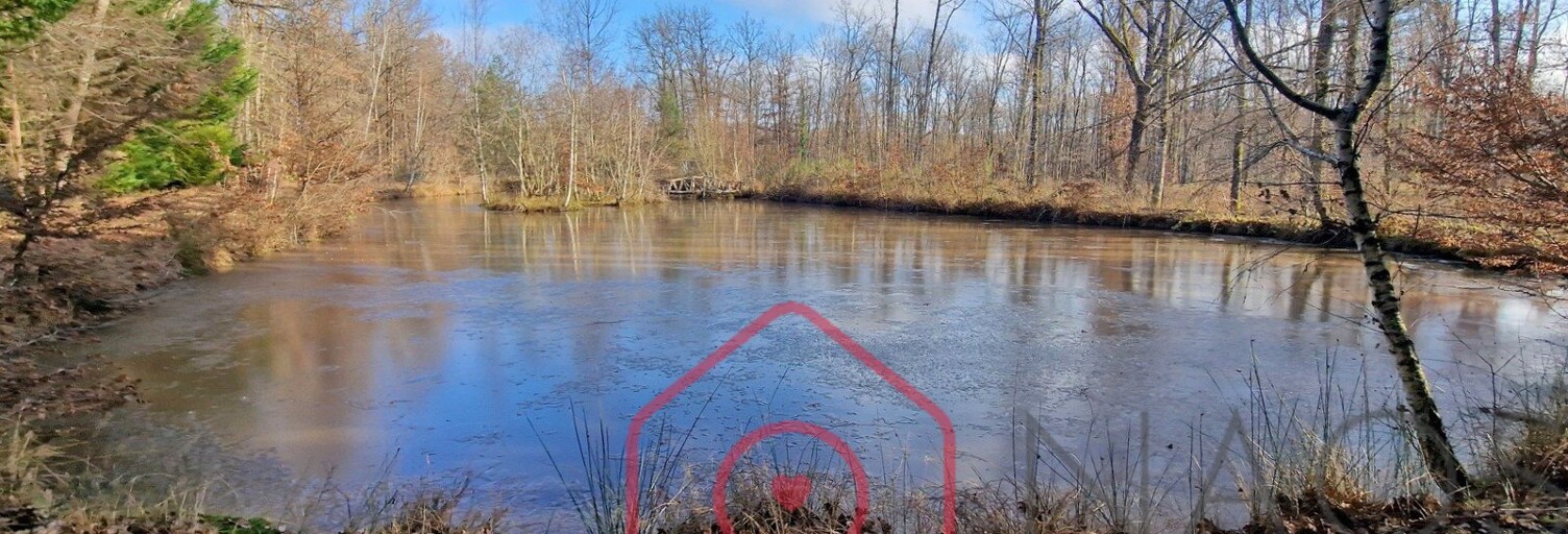 Terrain  129230 m² à vendre à Nouan-le-Fuzelier (41600)