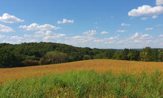 Terrain  133116 m² à vendre à Virazeil (47200)