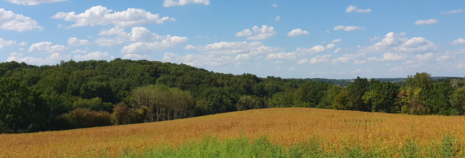 Terrain  133116 m² à vendre à Virazeil (47200)