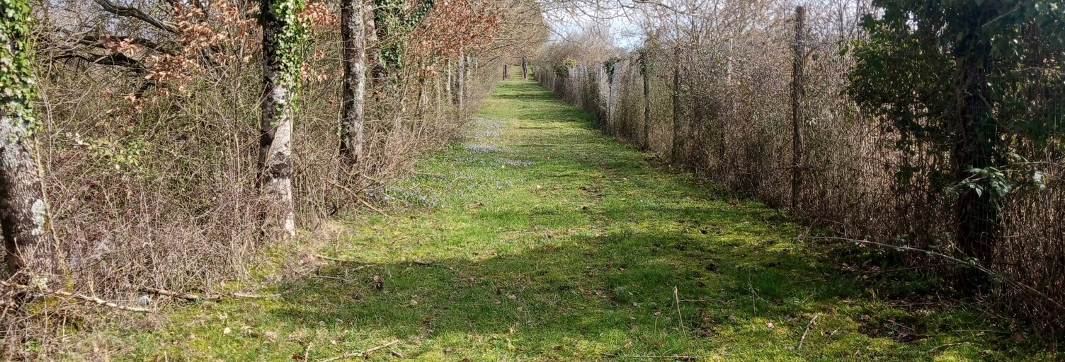 Photo N° 2