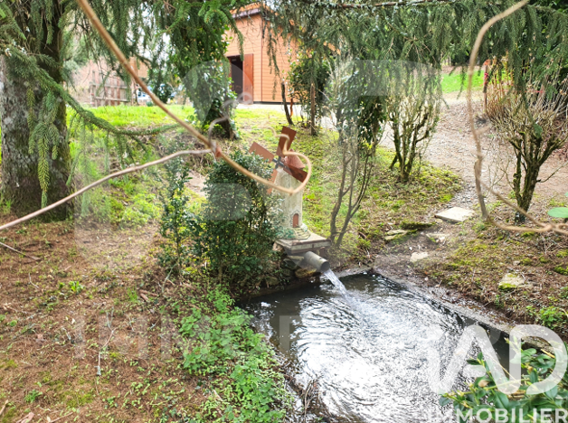 Montemboeuf - 6143m²