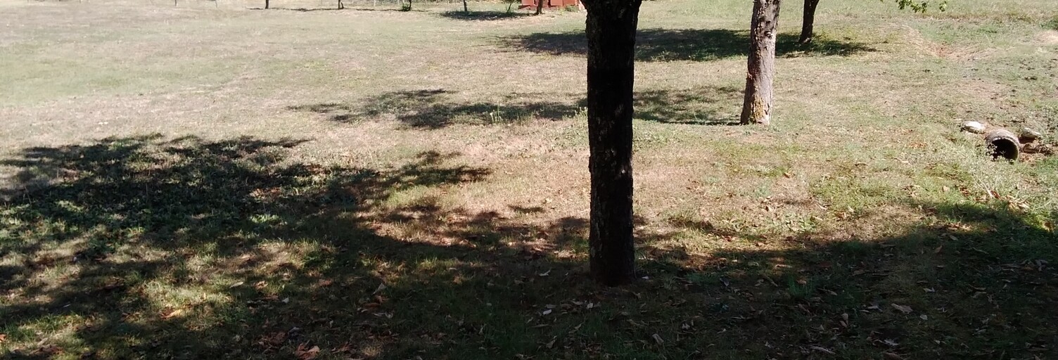 Terrain  1237 m² à vendre à Puylaurens (81700)