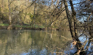 Terrain  9198 m² à vendre à Saint-Benoît (86280)