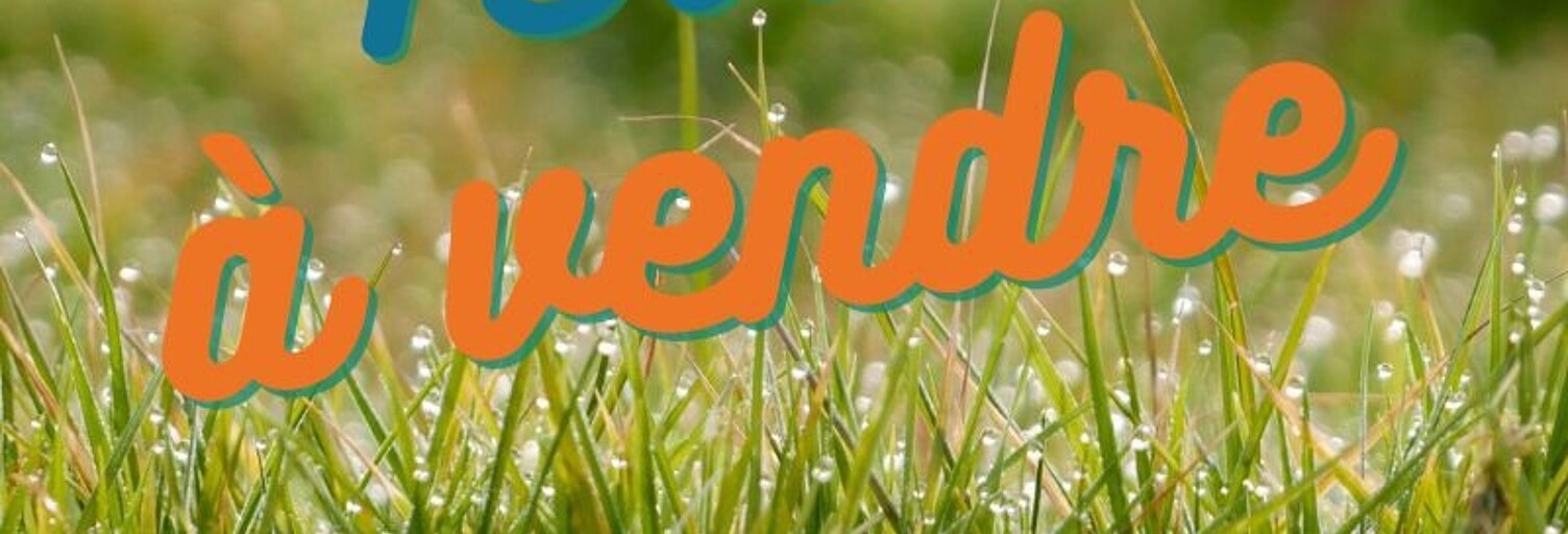 Terrain  2000 m² à vendre à Niort (79000)