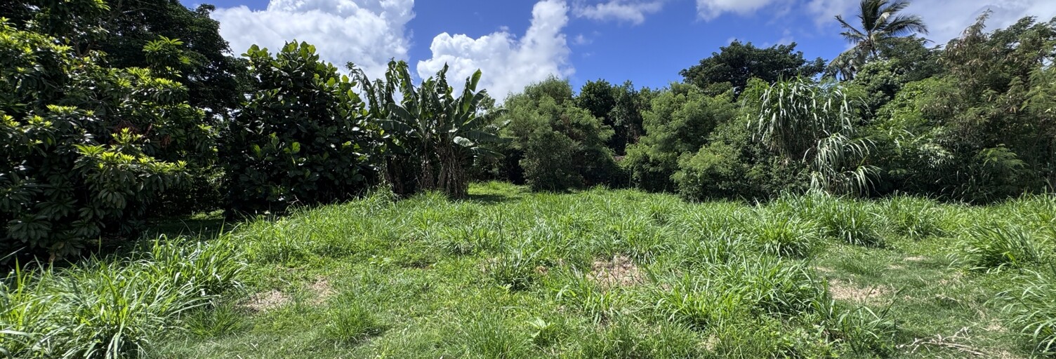 Terrain  1854 m² à vendre à Sainte-Marie (97438)