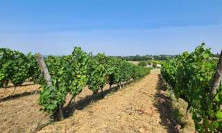 Terrain  20497 m² à vendre à Saussignac (24240)