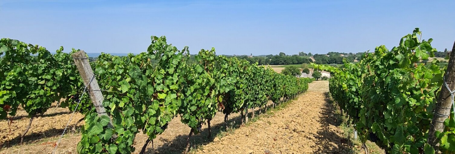 Terrain  20497 m² à vendre à Saussignac (24240)